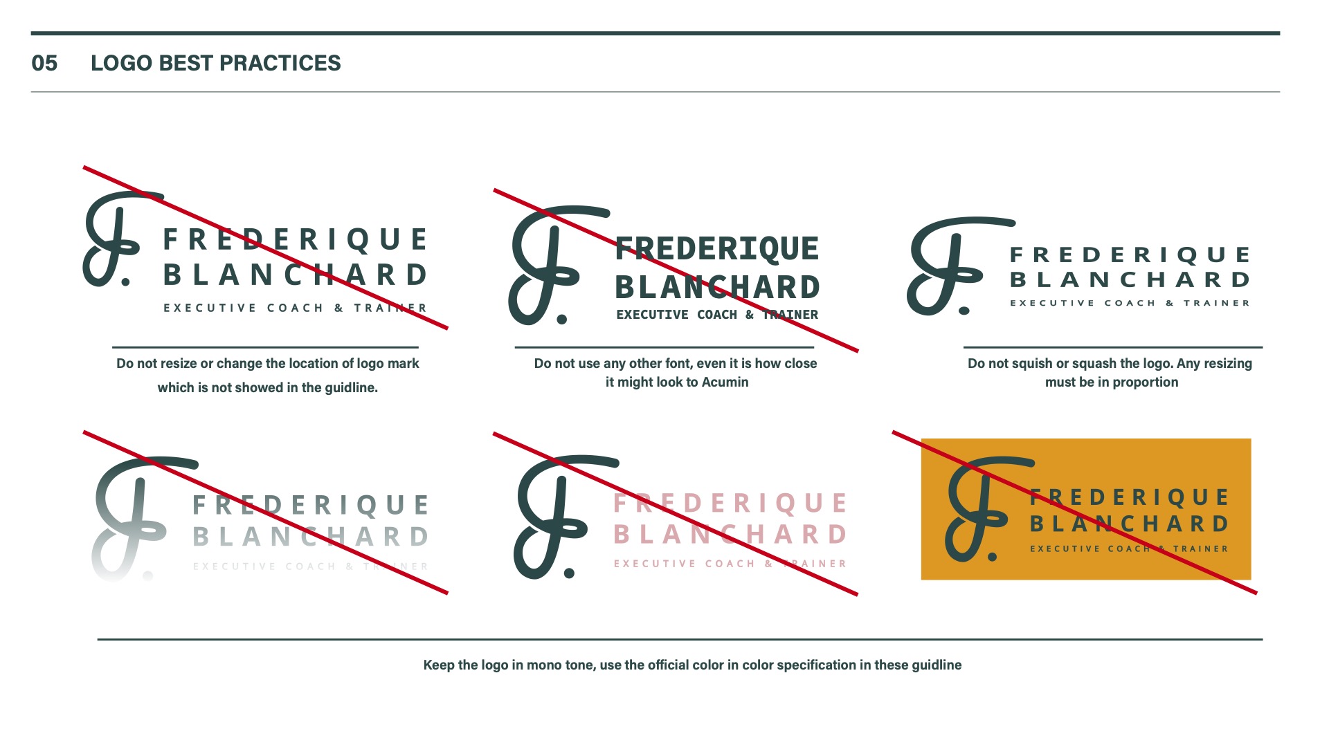 Logo usage guide — application 6